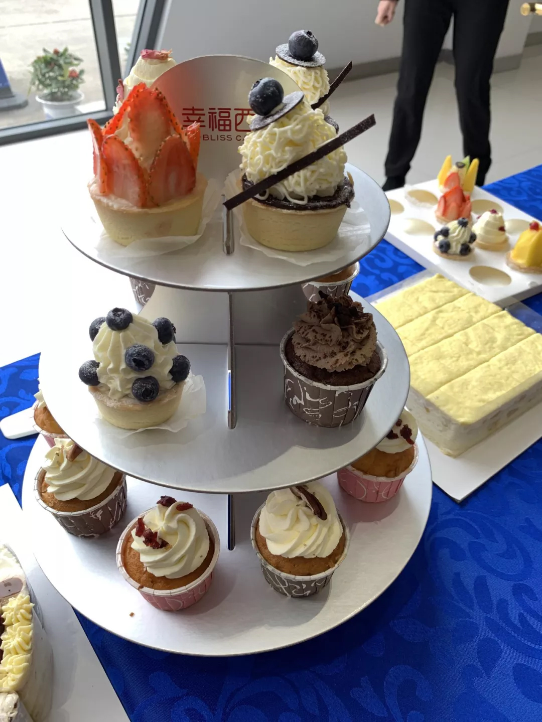 sbobet利记(中国游)官方网站